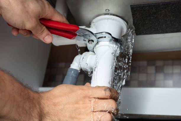 Best Water damage contractors near me  in Bloomfield, NM
