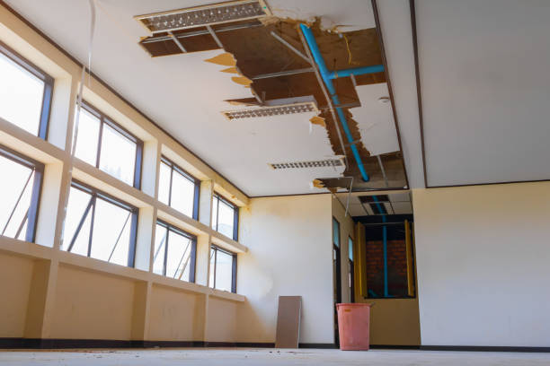 Best Professional water damage repair  in Bloomfield, NM
