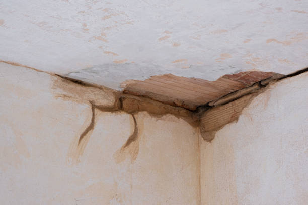 Best Emergency water damage restoration  in Bloomfield, NM