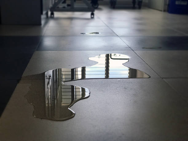 Best Professional water damage repair  in Bloomfield, NM