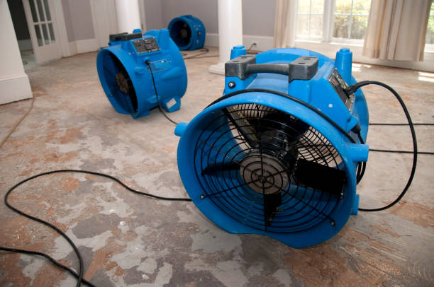 Best 24/7 water damage repair  in Bloomfield, NM