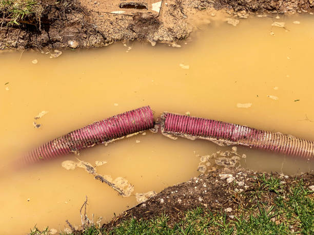 Best Sewage cleanup and water damage restoration  in Bloomfield, NM
