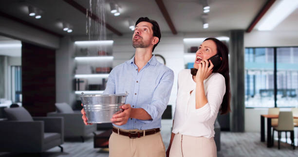 Best Carpet water damage restoration  in Bloomfield, NM